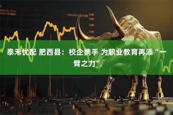 泰禾优配 肥西县：校企携手 为职业教育再添“一臂之力”