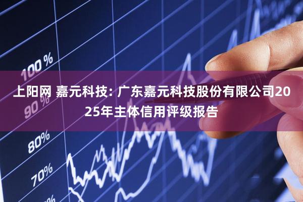 上阳网 嘉元科技: 广东嘉元科技股份有限公司2025年主体信用评级报告