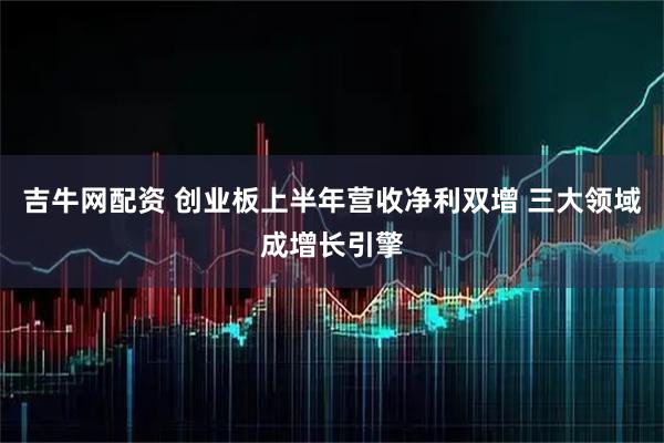 吉牛网配资 创业板上半年营收净利双增 三大领域成增长引擎